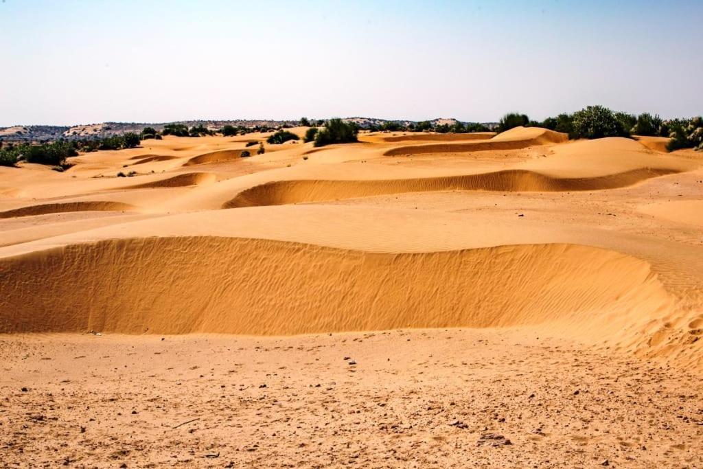 Neem Guest House Jaisalmer Εξωτερικό φωτογραφία