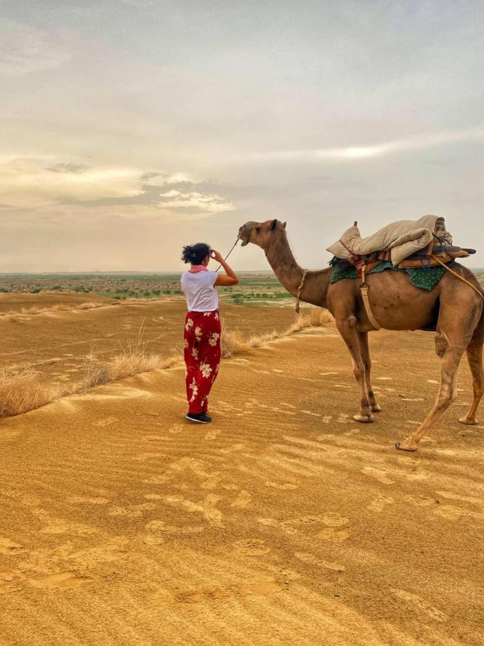 Neem Guest House Jaisalmer Εξωτερικό φωτογραφία