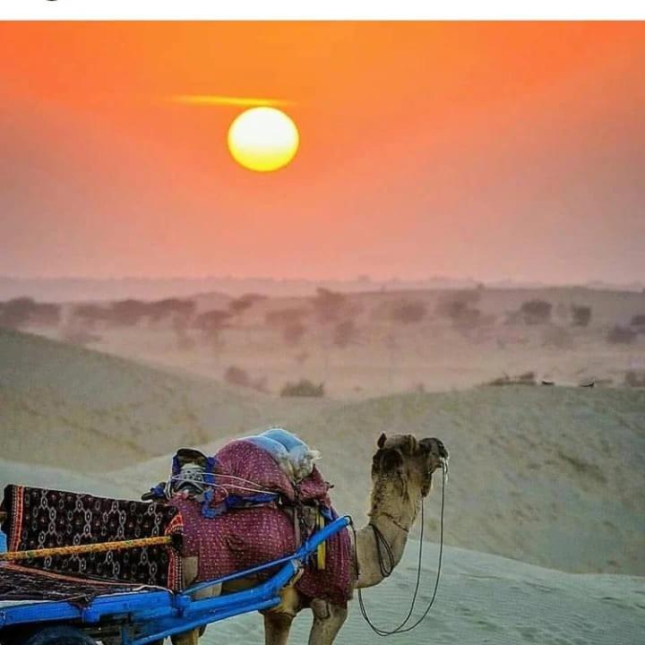 Neem Guest House Jaisalmer Εξωτερικό φωτογραφία